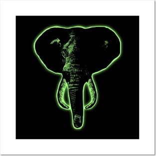 Elephant Light2 Posters and Art